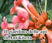 IL Giardino culturale delle api e degli insetti impollinatori di Antikitera